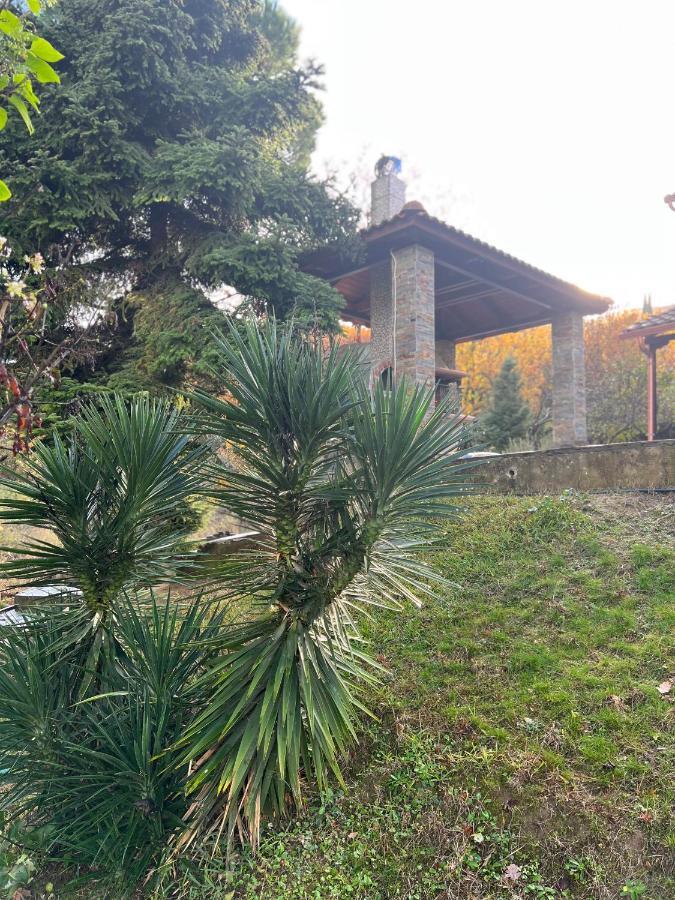 Apartamento House In The Woods Kardítsa Exterior foto